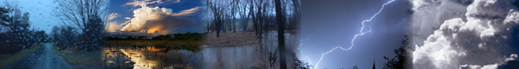 [Banner]